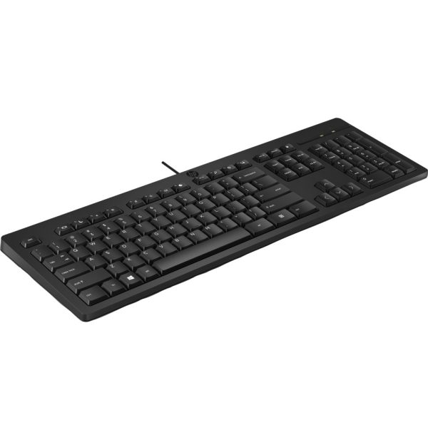 HP 125 Wired Keyboard-FR 12M (266C9AA)