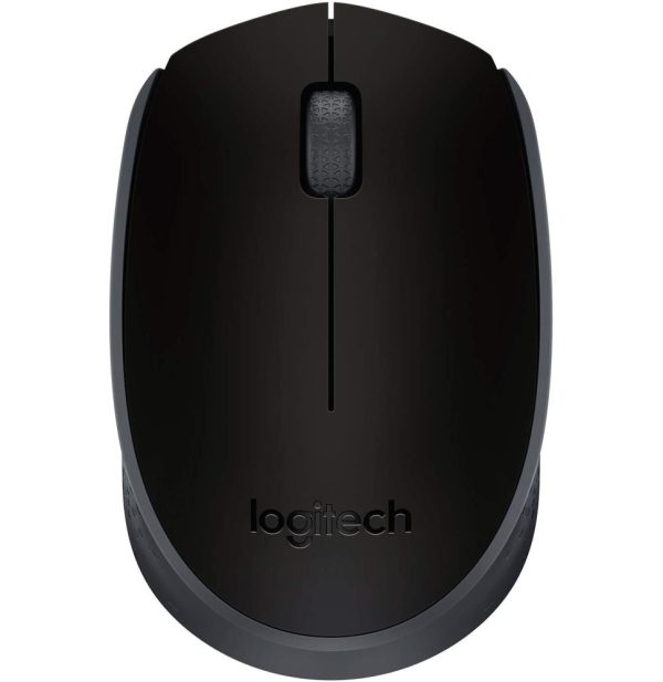 Souris sans fil Logitech M171 noire  (910-004424)